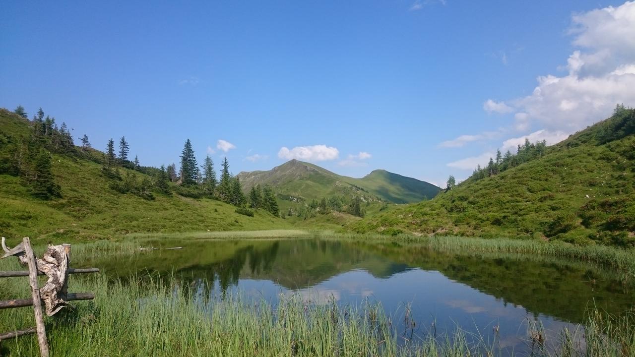 Appartementhaus Unterkofler Grossarl Esterno foto